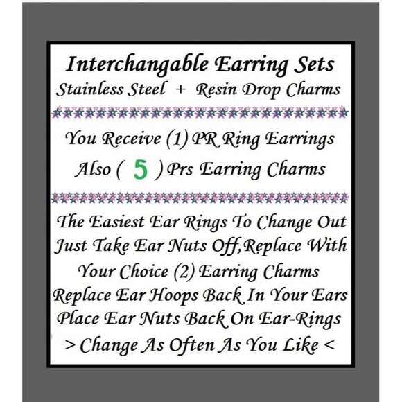 NEW Veggie Interchangeable Food Charm Earrings 5 Pairs in Set Stainless Steel - Picture 6 of 6